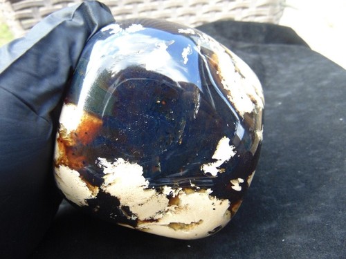 Blauer sumatra bernstein 100 - sumatra, bernstein: