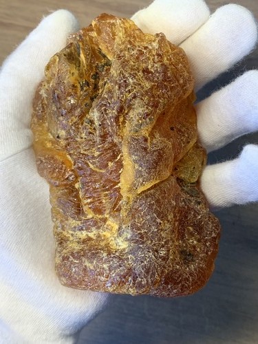 Großer baltischer - großer,