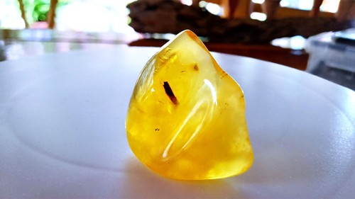 Baltic amber baltischer natur - baltischer,
