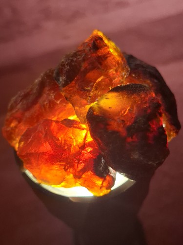 Blauer bernstein aus sumatra - aus,