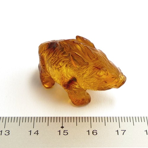 100 natur bernstein zoo amber - bernstein,