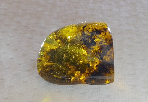 Aus sammlung baltisch - aus, natur