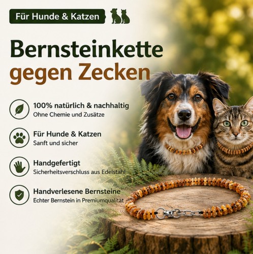 Bernsteinkette hund katze - hund,